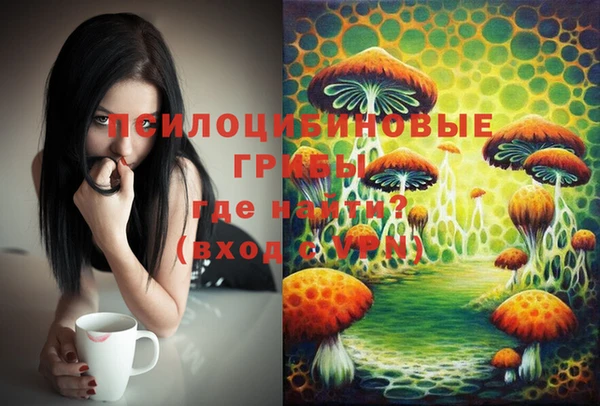 крисы Белоозёрский