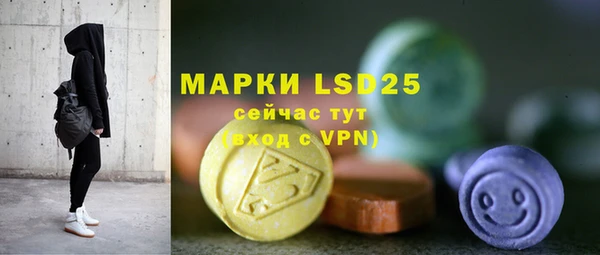 ПСИЛОЦИБИНОВЫЕ ГРИБЫ Белокуриха