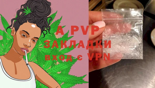 крисы Белоозёрский