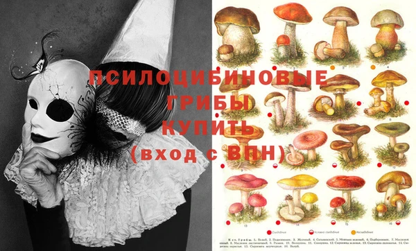 крисы Белоозёрский