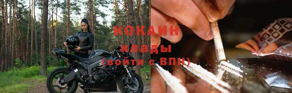ПСИЛОЦИБИНОВЫЕ ГРИБЫ Белокуриха